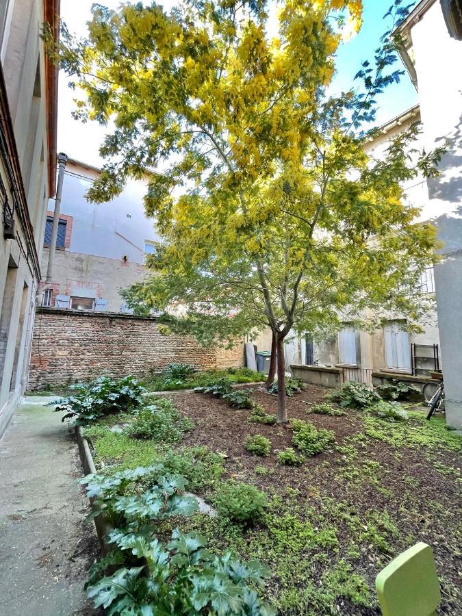 טולוז Studio 21M2 - Centre Ville A 300M Du Metro מראה חיצוני תמונה